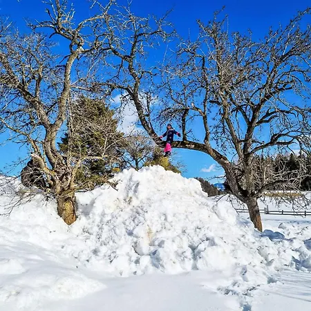 Kulmer Hof By Interhome شقة بروغيرن