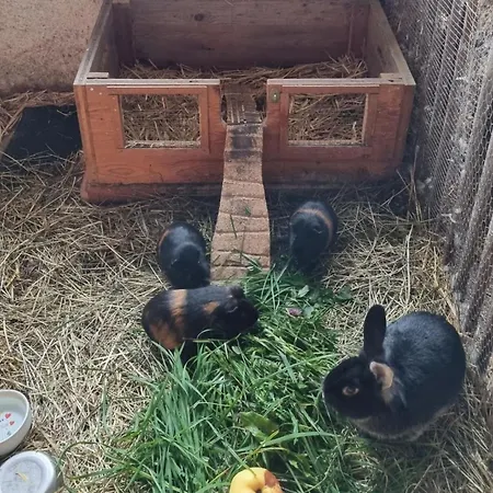 Kulmer Hof By Interhome بروغيرن