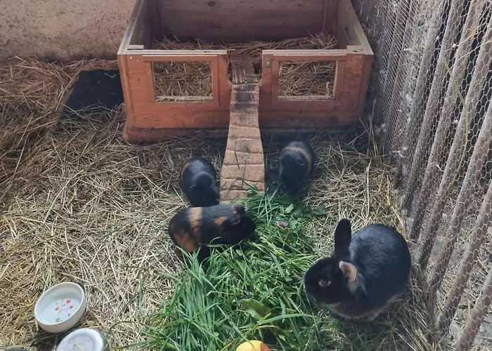 Kulmer Hof By Interhome Pruggern